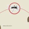Two infected with Zika virus in Pune