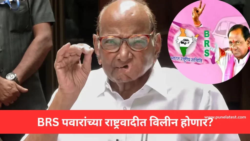 BRS Sharad Pawar News